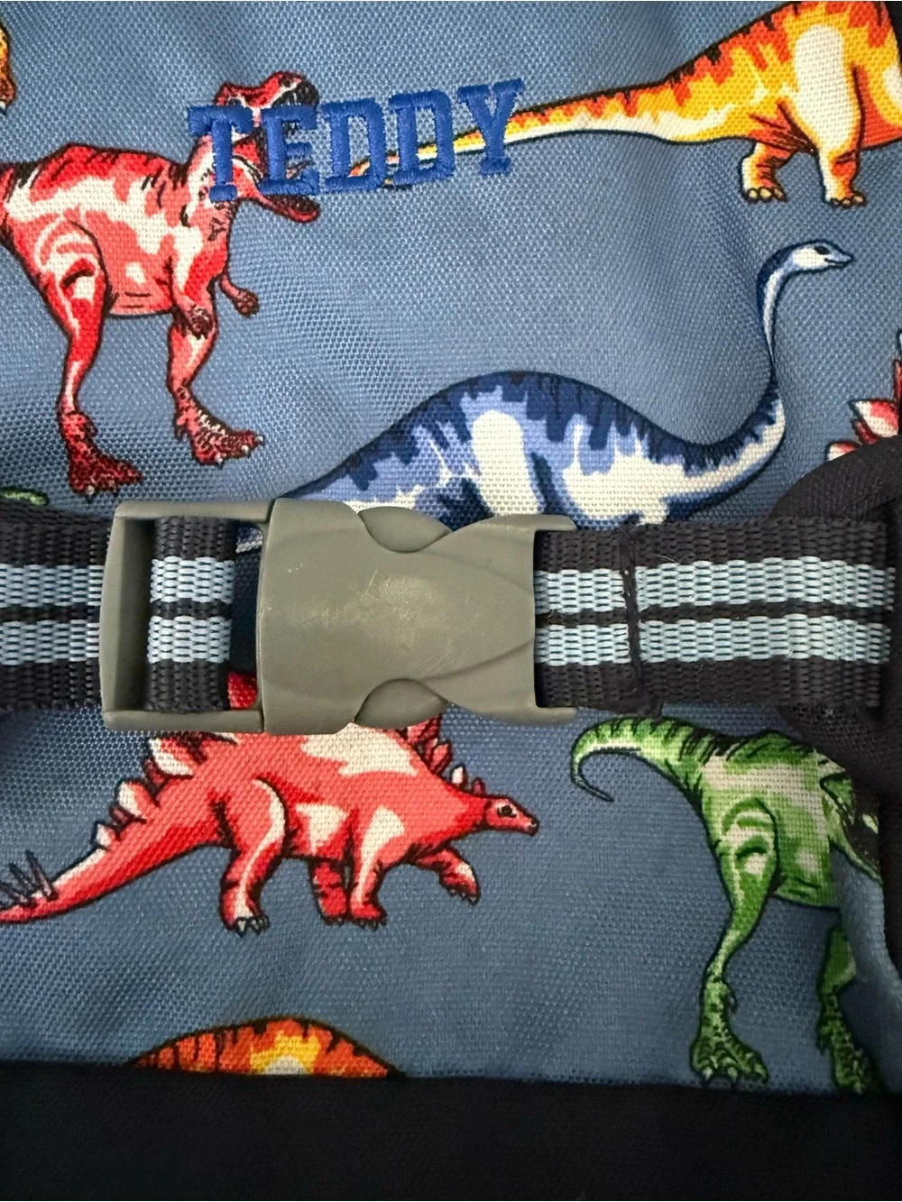 Pottery Barn Kids Dinosaur Small Backpack Bookbag